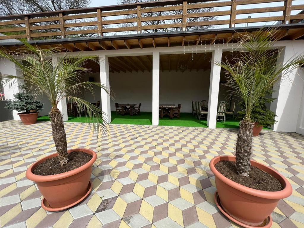 Hotel Casa Sofia Anina Exteriér fotografie