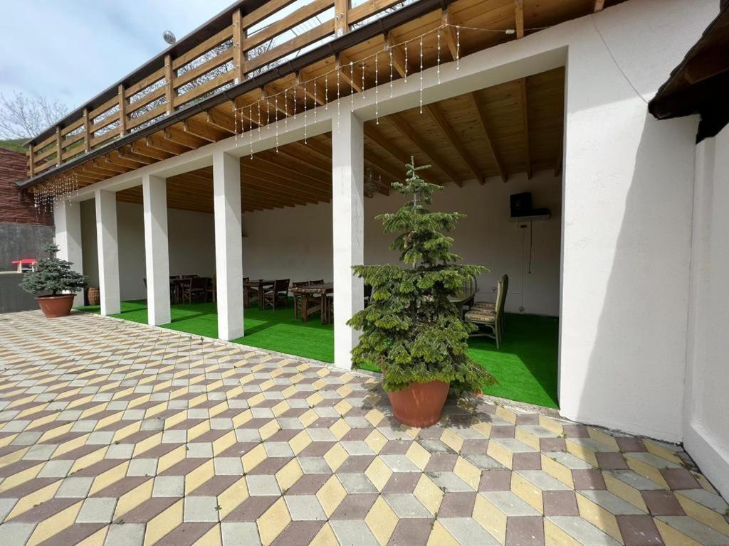 Hotel Casa Sofia Anina Exteriér fotografie